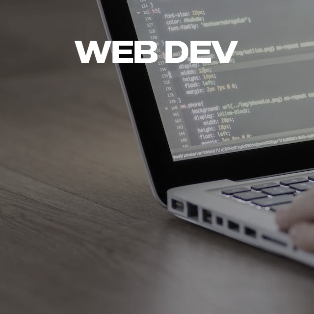 Web und On Premise Development
